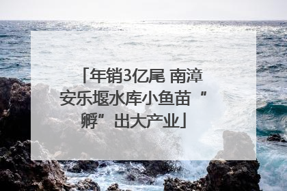 年销3亿尾 南漳安乐堰水库小鱼苗“孵”出大产业